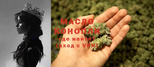 гидра Вяземский