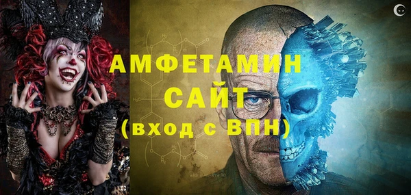 гидра Вяземский