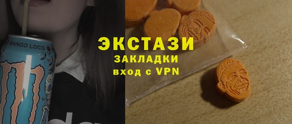 гидра Вяземский
