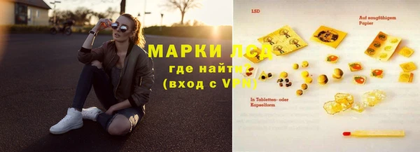 гидра Вяземский