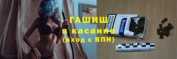 гидра Вяземский