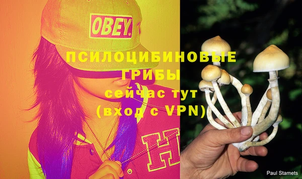 прущая мука Вязники