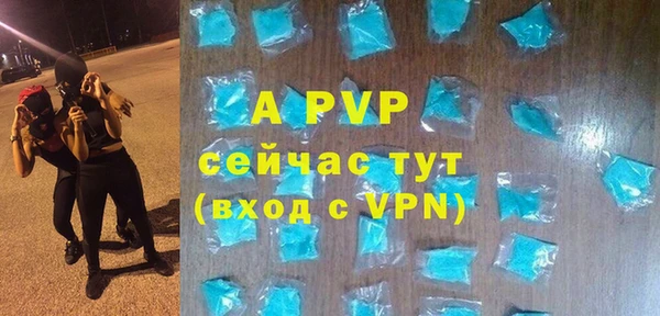 гидра Вяземский