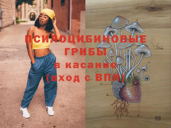 прущие крисы Вязьма