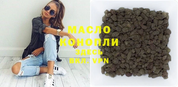 гидра Вяземский
