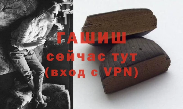 гидра Вяземский