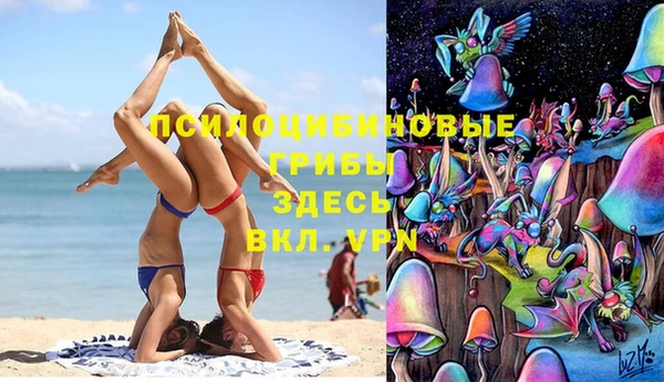 гидра Вяземский