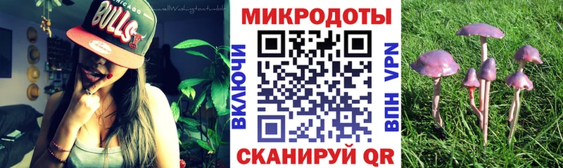 Купить закладки Печоры Галлюциногенные грибы Magic Shrooms